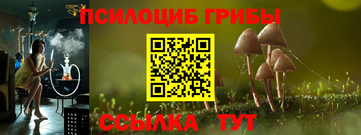 Псилоцибиновые грибы GOLDEN TEACHER Серпухов
